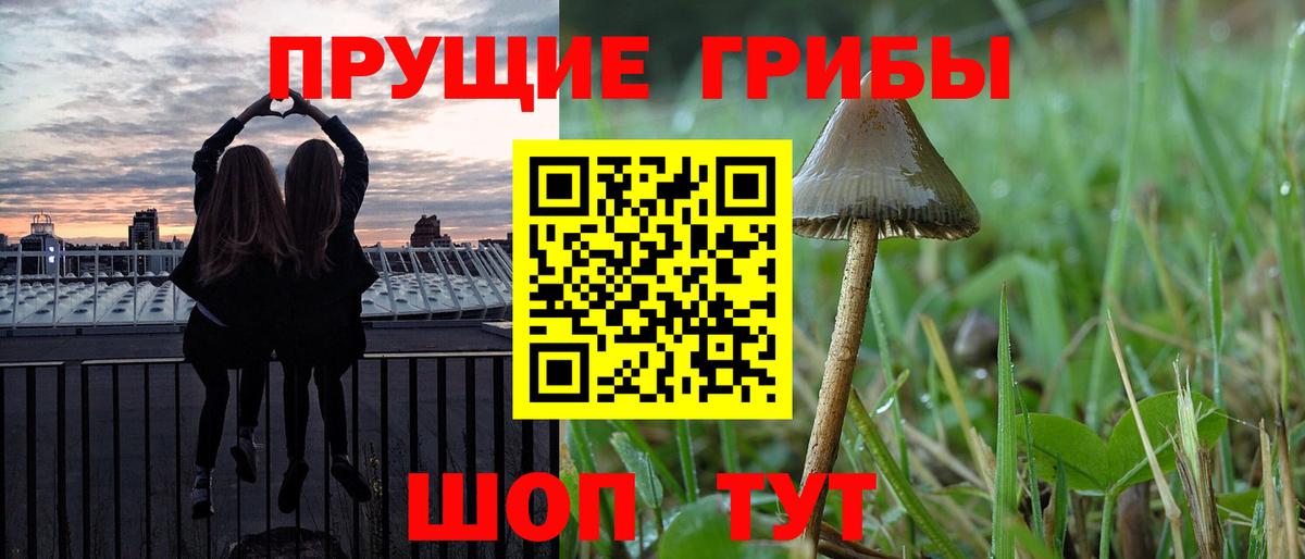 Алапаевск  Галлюциногенные грибы Cubensis  Псилоцибиновые грибы GOLDEN TEACHER  Вход с VPN 